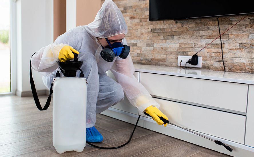 Our Proven Flea Infestation Treatment in Mission Viejo
