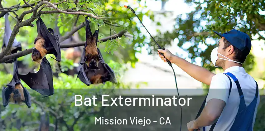  Bat Exterminator Mission Viejo - CA