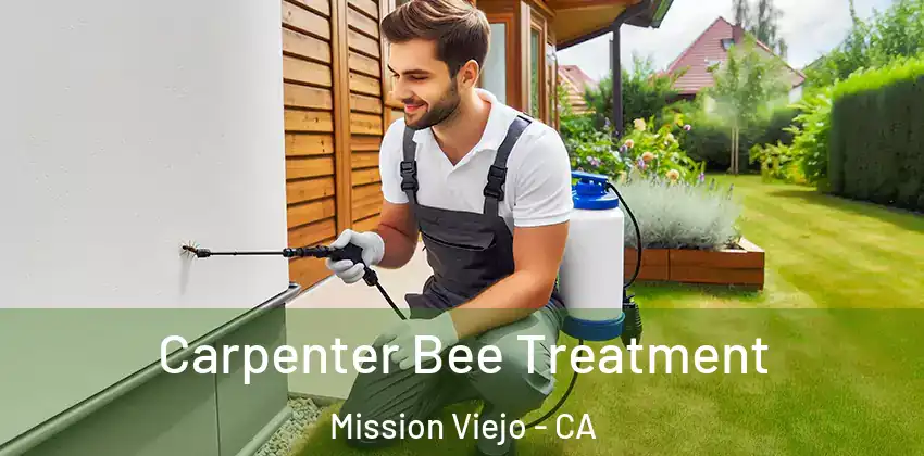 Carpenter Bee Treatment Mission Viejo - CA