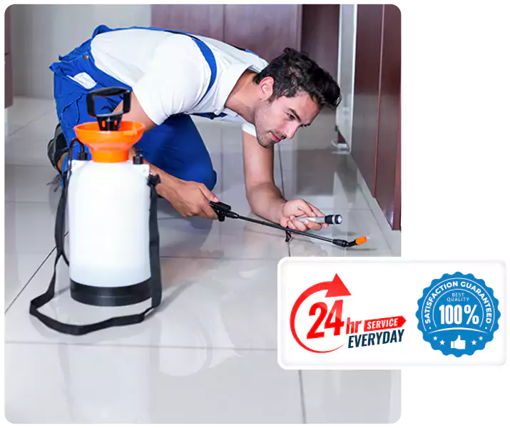 Year-Round Pest Prevention Plans in Mission Viejo