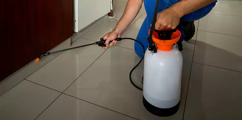 Commercial Pest Extermination for Offices in Mission Viejo, CA