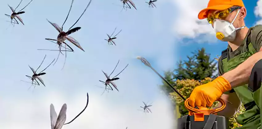 Termite Control for Children and Pets in Mission Viejo, CA