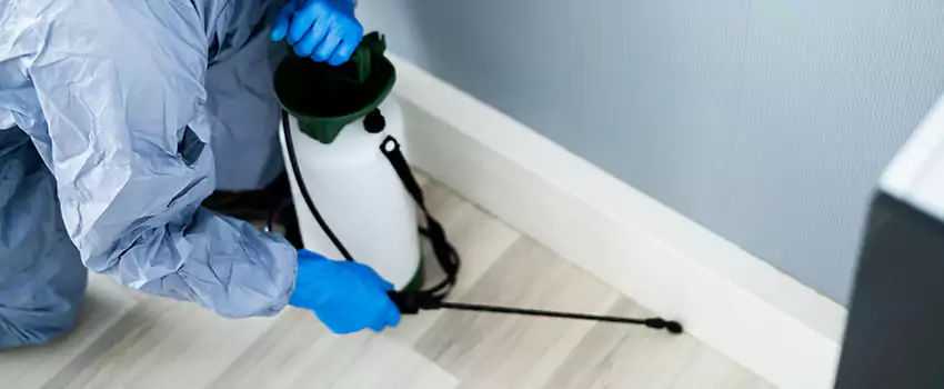 cockroach-exterminator in Mission Viejo, CA