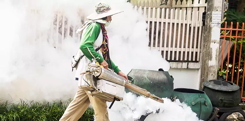 mosquito-exterminator in Mission Viejo, CA