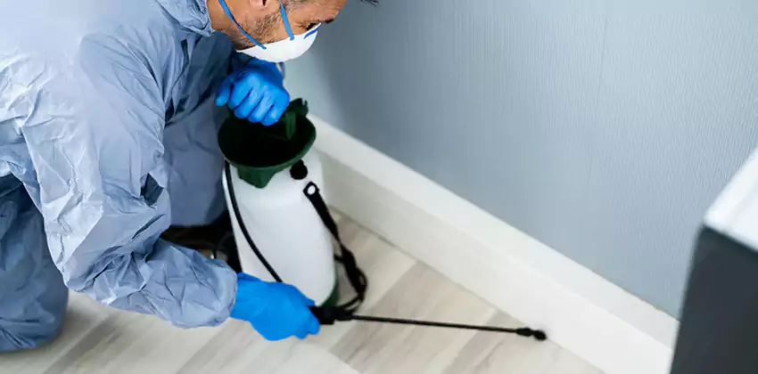 pest-exterminator in Mission Viejo, CA