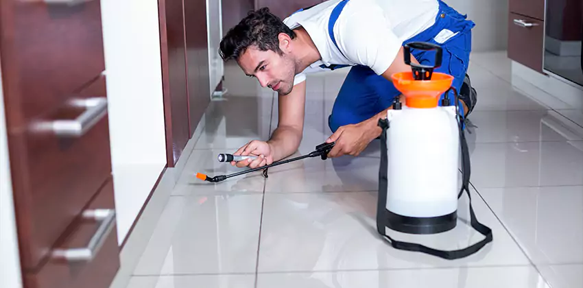 termite-exterminator in Mission Viejo, CA