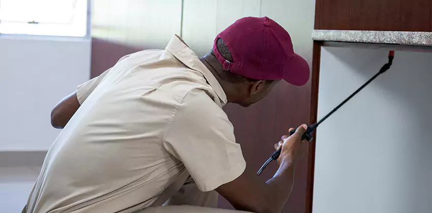 termite-inspection in Mission Viejo, CA