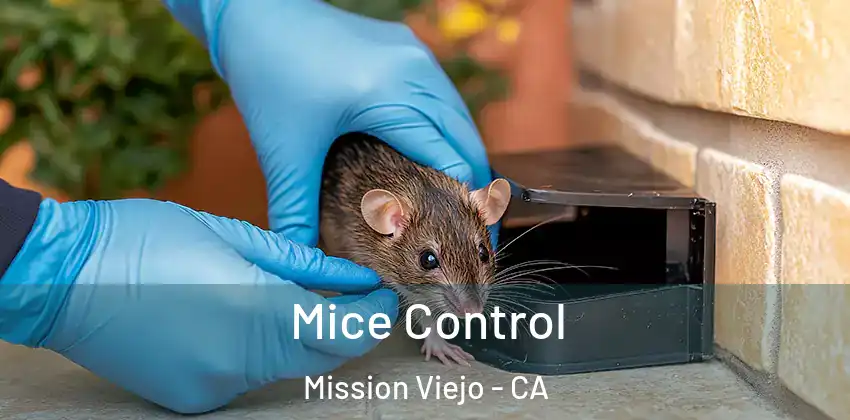 Mice Control Mission Viejo - CA