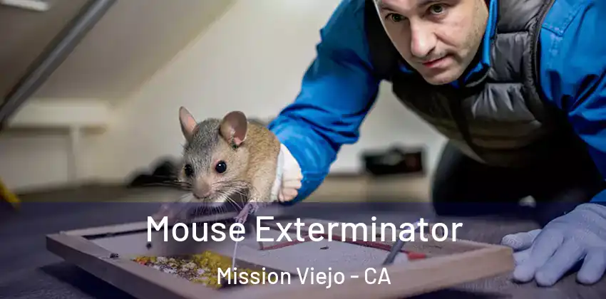 Mouse Exterminator Mission Viejo - CA
