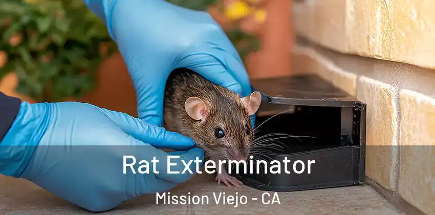 Rat Exterminator Mission Viejo - CA