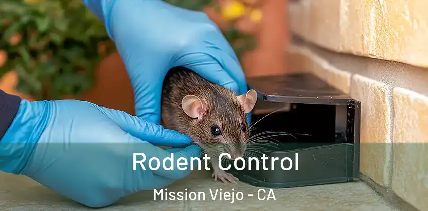 Rodent Control Mission Viejo - CA