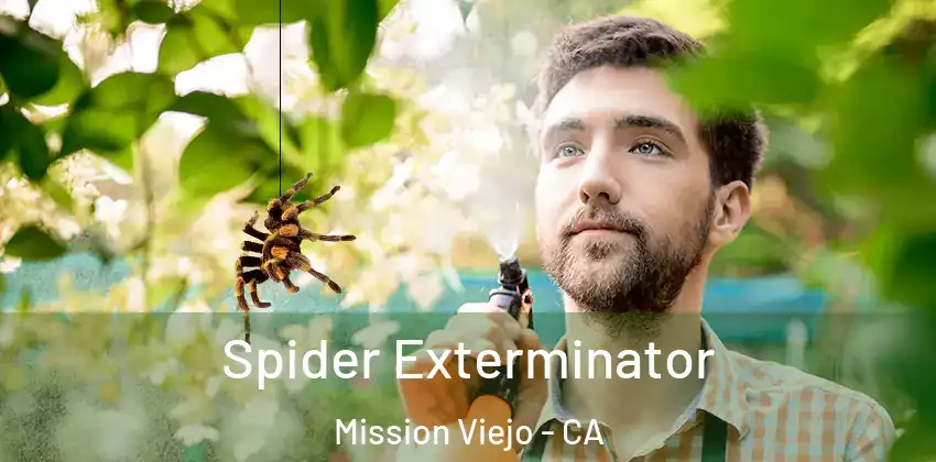 Spider Exterminator Mission Viejo - CA