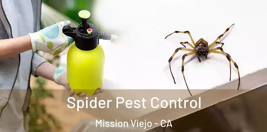 Spider Pest Control Mission Viejo - CA