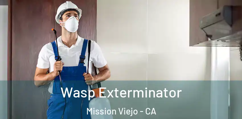  Wasp Exterminator Mission Viejo - CA