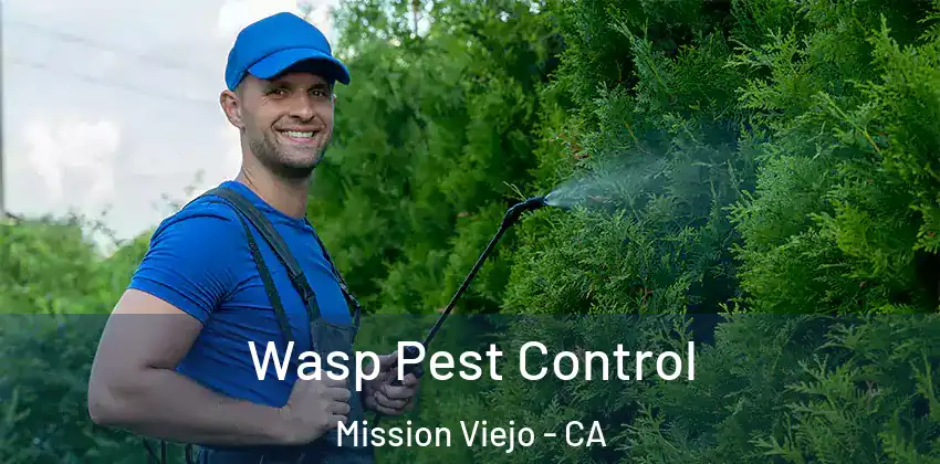 Wasp Pest Control Mission Viejo - CA